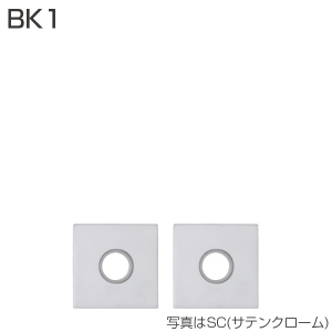 BK1(エスカッション)