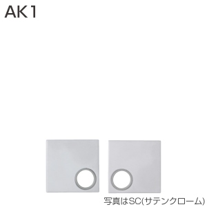 AK1(エスカッション)