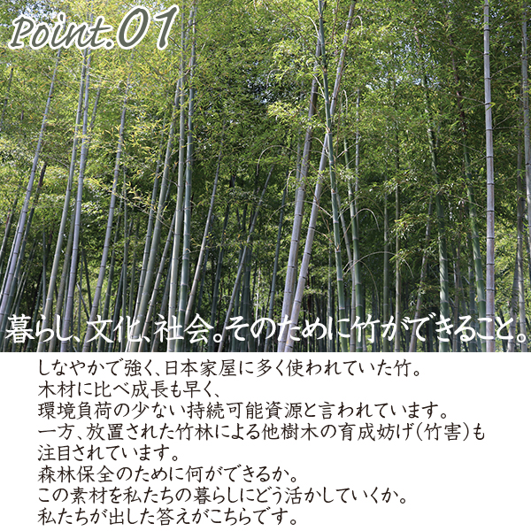 hoss NAGAE(物干金具)[bamboo](天井取付式)《取り寄せ商品・代引不可》_3