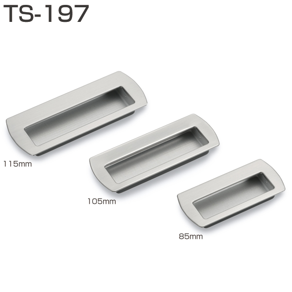 TS-197