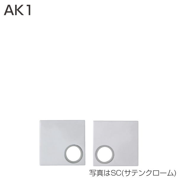 AK1(エスカッション)