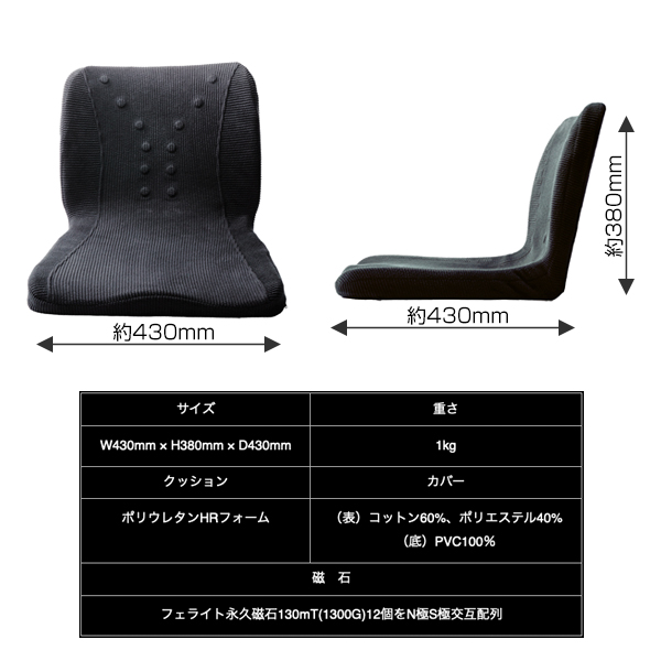 ピントアルファ(PINTO α)《メーカー直送・代引不可》_2