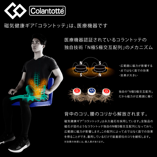 ピントアルファ(PINTO α)《メーカー直送・代引不可》_3