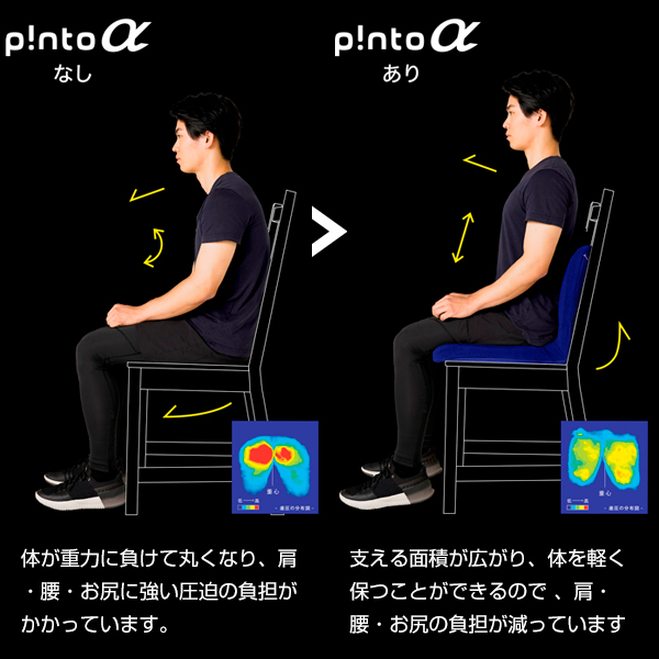 ピントアルファ(PINTO α)《メーカー直送・代引不可》_5