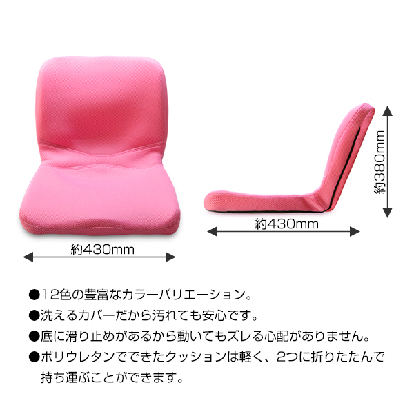 ピント ピンク(PINTO PINK)《メーカー直送・代引不可》_2