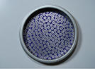 小桜 丸型(銀枠)