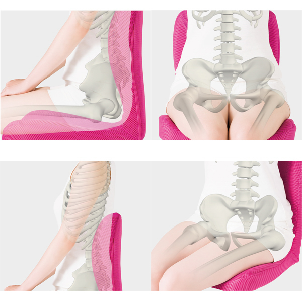 ピント ビューティー ピンク(PINTO BEAUTY PINK)《メーカー直送・代引不可》