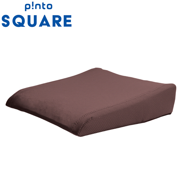 pinto_square_brown_p.jpg