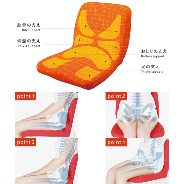 ピント イエロー(PINTO YELLOW)《メーカー直送・代引不可》